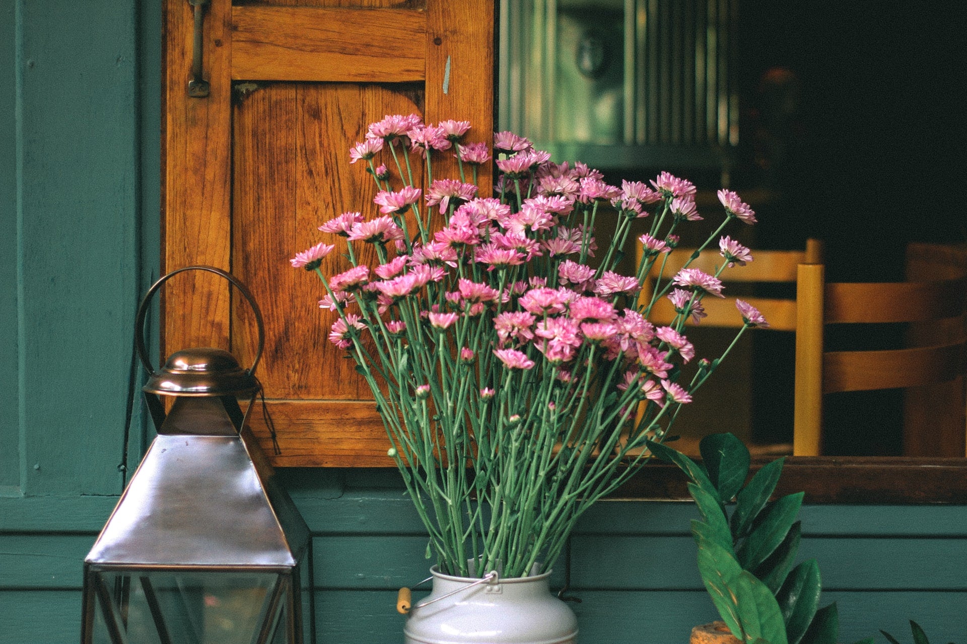 9 Best Color Green Finishes to Use in Any Room – Rocabu Designs
