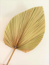 Heather Dried Palm Leaves
