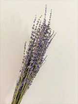 Lavender Dried Flowers, Bundle