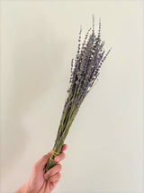 Lavender Dried Flowers, Bundle