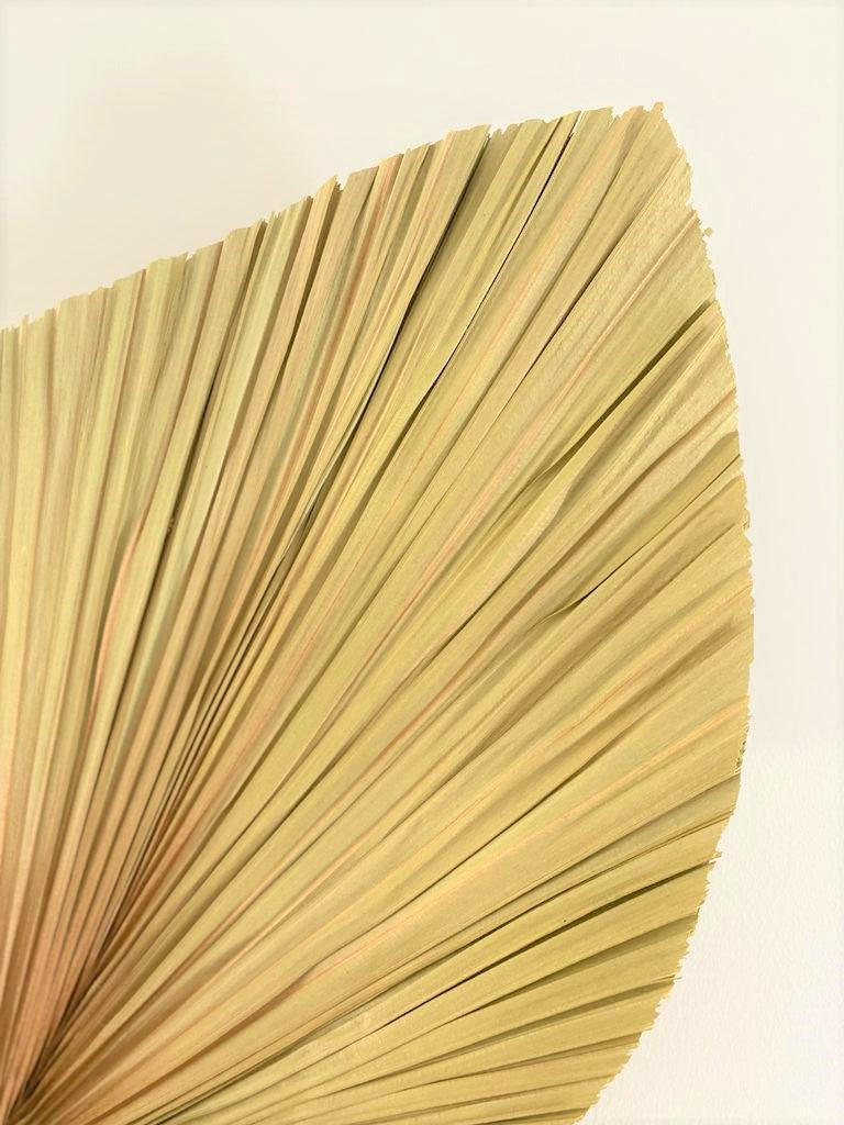 Heather Dried Palm Leaves
