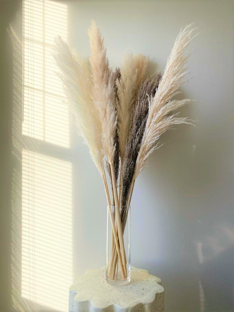 Marguerite Natural Brown Pampas Grass, 3 Stems